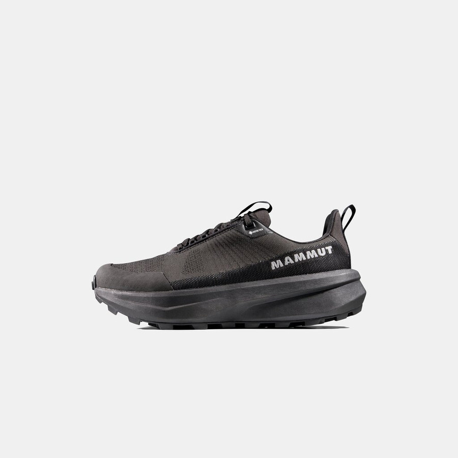 aenergy mtn low gtx herren iguana-schwarz