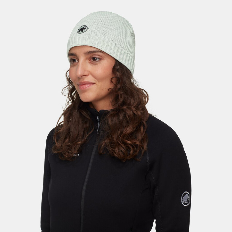 sublime beanie vin