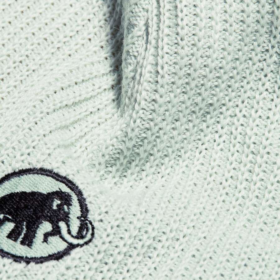 sublime beanie vin