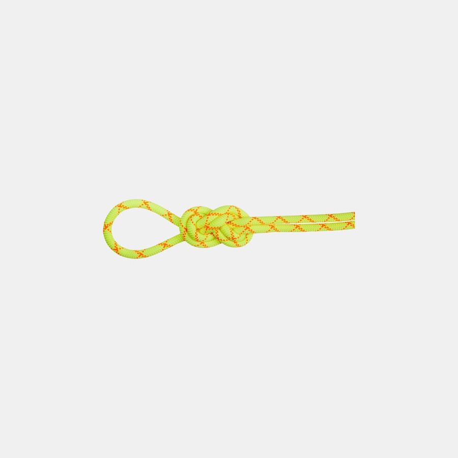 9.5 alpine core protect dry rope halo-vibrant orange