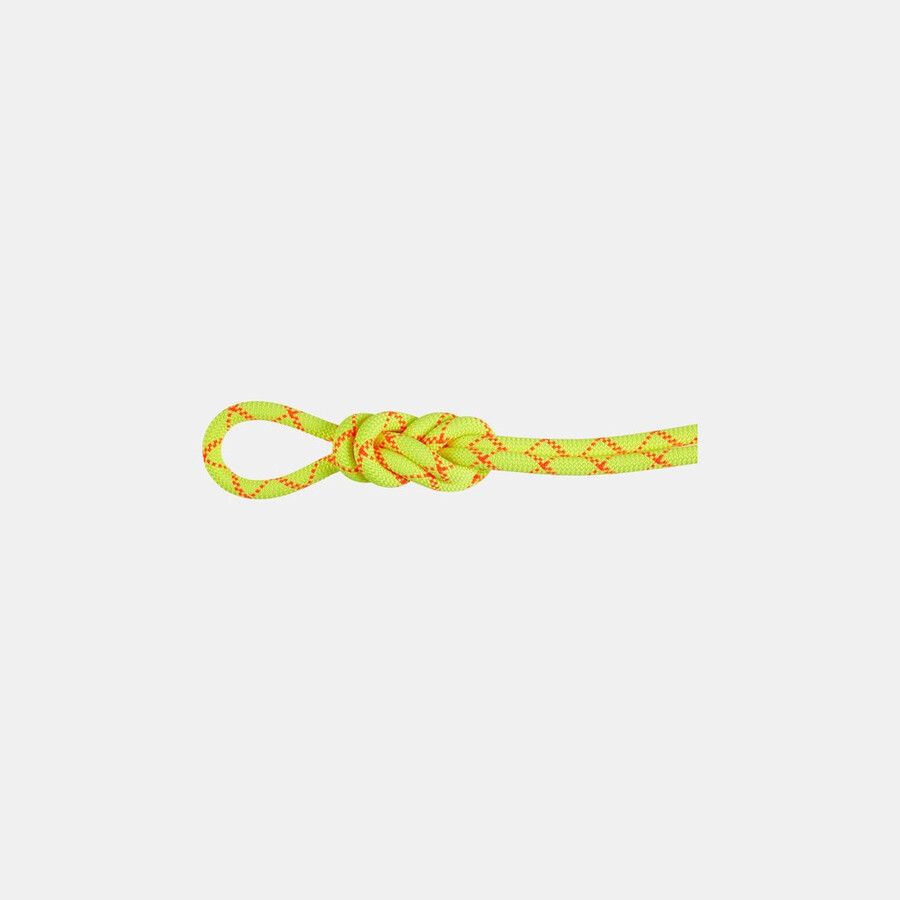 9.5 alpine core protect trockenseil 80 m