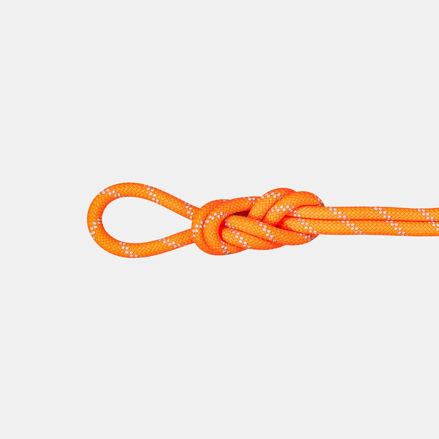 9.5 alpine dry rope 70m