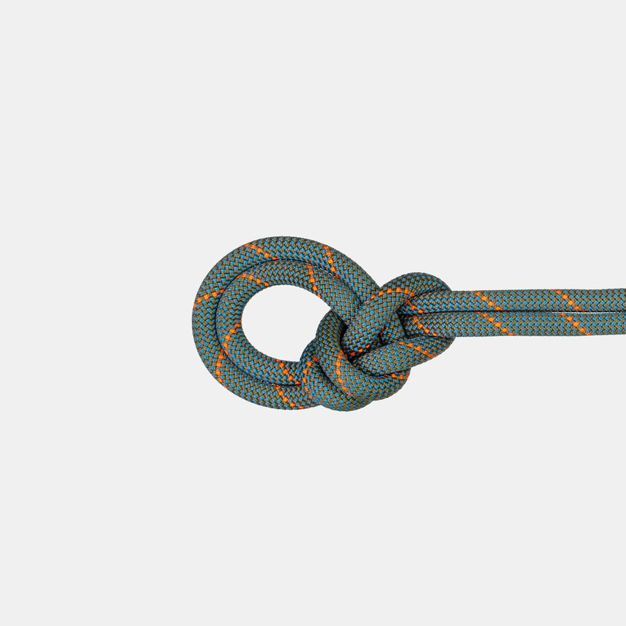 9.9 crag workhorse trockenseil 70m