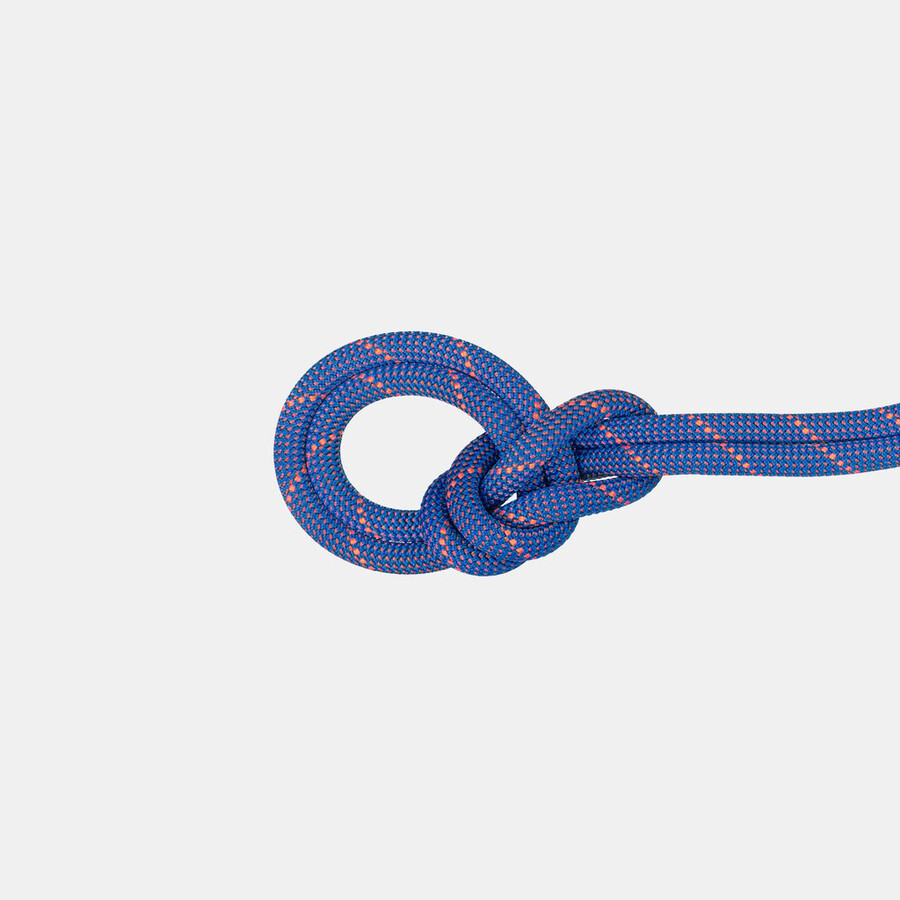 9.0 crag sender trockenseil 60m
