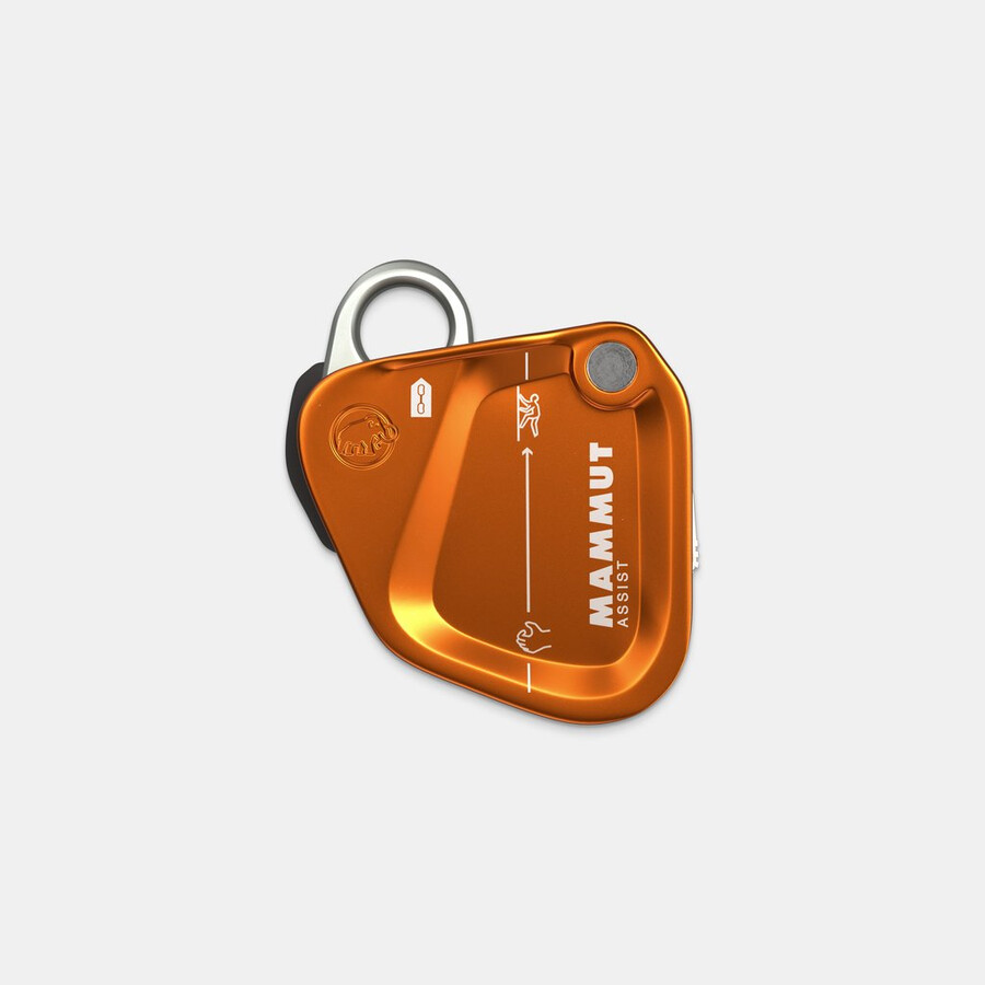 mammut assist sicherungswiderstand gold