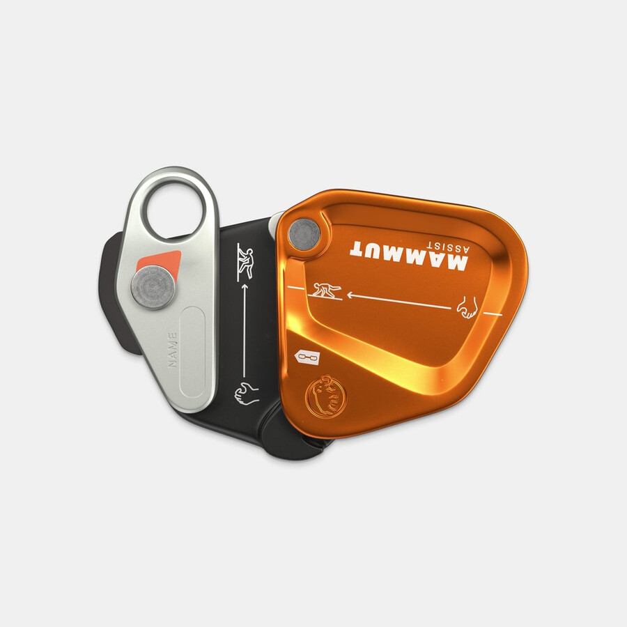 mammut assist sicherungswiderstand gold