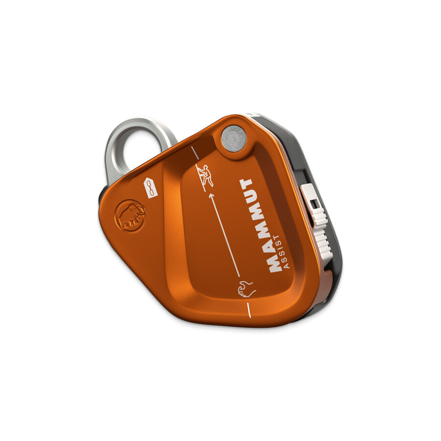 mammut assist sicherungswiderstand gold